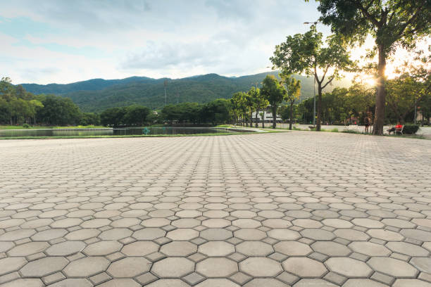 Best Residential Paver Driveway  in North Branch, MN
